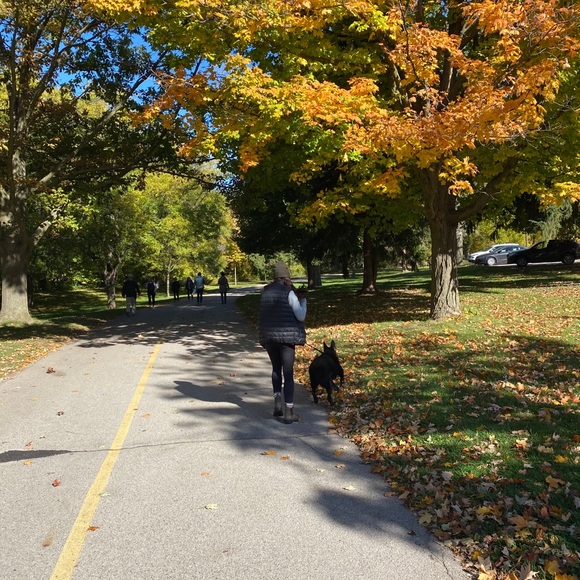 Meet your Posher, Nicole - Picture 1 of 1